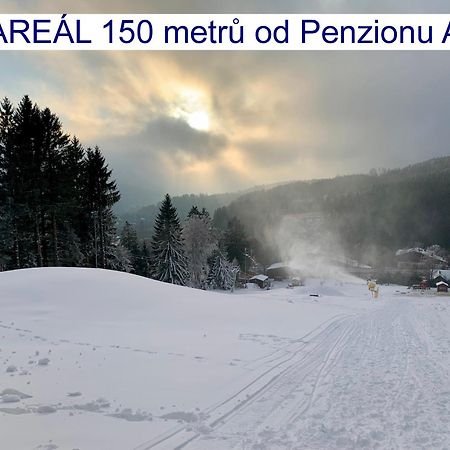 Penzion Alfa Zelezna Ruda Exterior foto