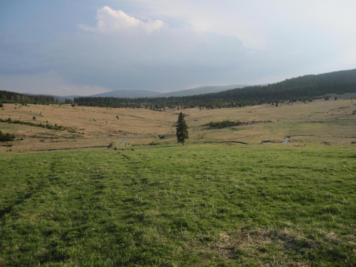 Penzion Alfa Zelezna Ruda Exterior foto