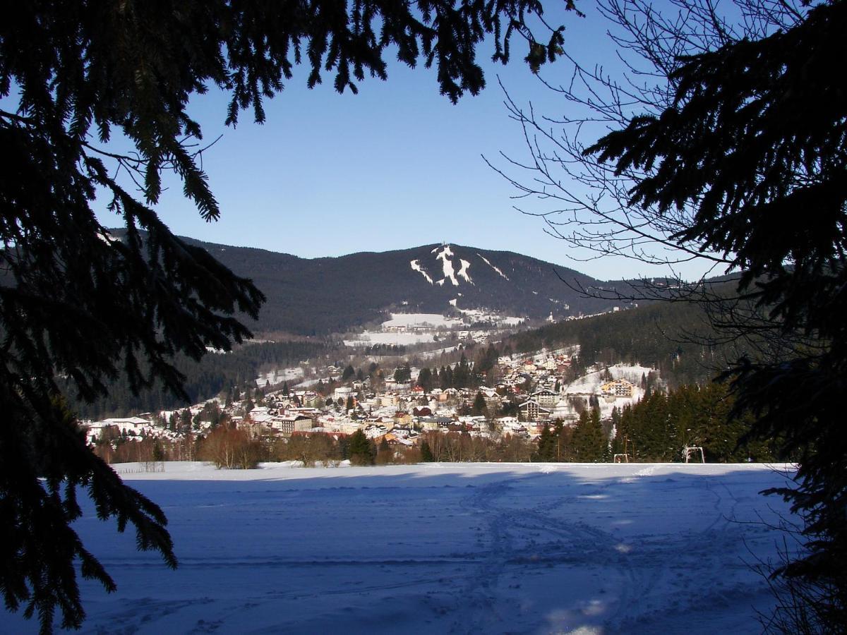 Penzion Alfa Zelezna Ruda Exterior foto
