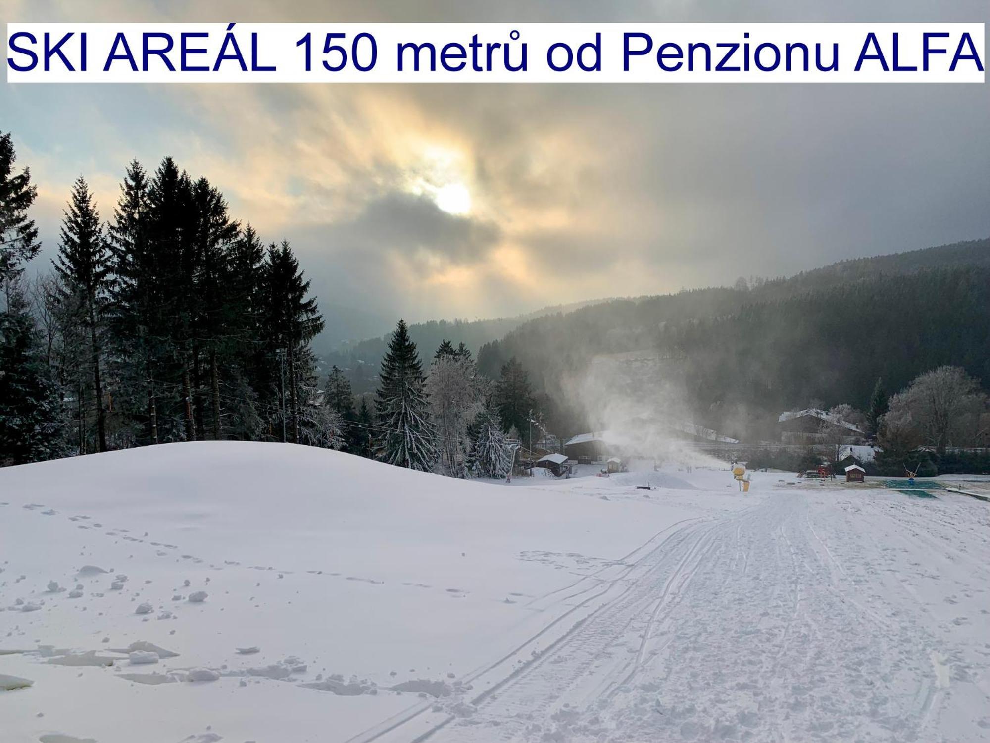 Penzion Alfa Zelezna Ruda Exterior foto